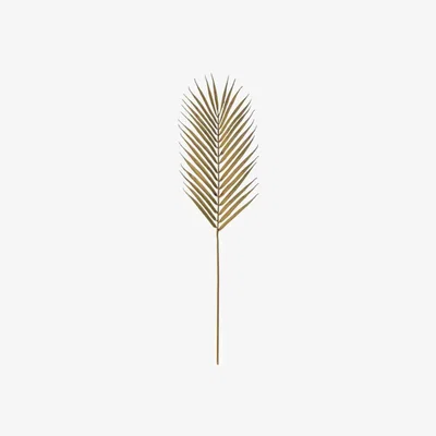 Olivia's Gallery Direct Camel Palm Stem (6pk) Christmas