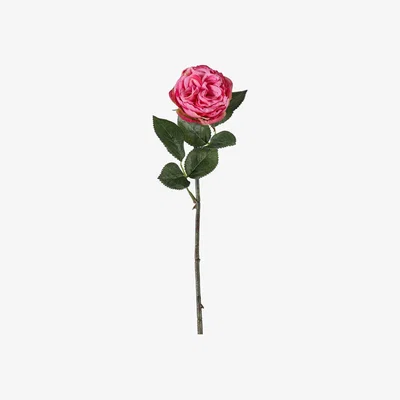 Olivia's Gallery Interiors Aldona Rose Stem Pink | Outlet / Medium Set of 12