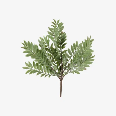 Olivia's Gallery Interiors Set of 6 Helder Maiden Hair Fern Spray