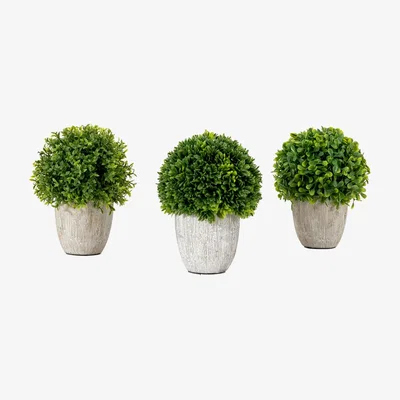 Olivia's Gallery Interiors Set of 3 Faux Mixed Topiary in Green