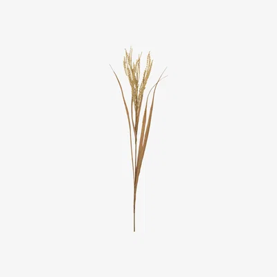 Olivia's Gallery Interiors Set of 6 Dry Look Rice Stalk Spray Cream