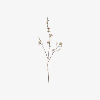 Olivia's Gallery Interiors Set of 3 Cherry Blossom Stem in Pink