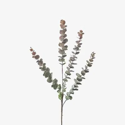 Olivia's Gallery Interiors Dusky Blush Spray Eucalyptus (6pk) | Outlet