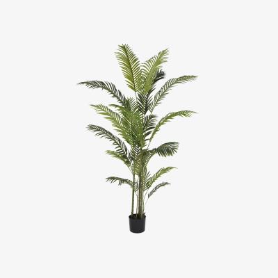 Olivia's Libra Interiors 6ft Faux Areca Palm
