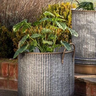 Olivia's Gallery Interiors Jabbar Potted Monsterra Faux Plant Green / Small