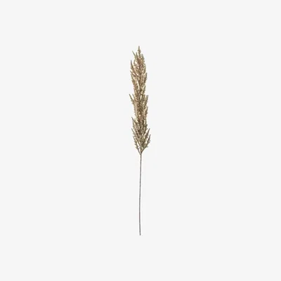 Olivia's Gallery Interiors Fawn Pampas Grass (3pk)