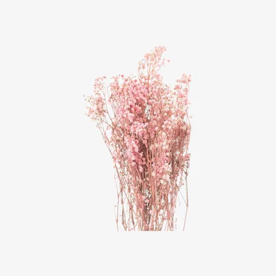 Olivia's Hill Dried Babys Breath Bunch in Pale Pink