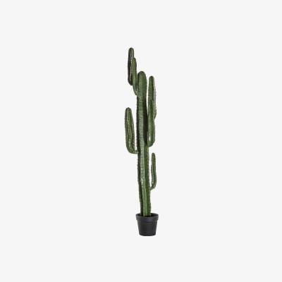 Olivia's Gallery Direct Desert Black Cactus / Small