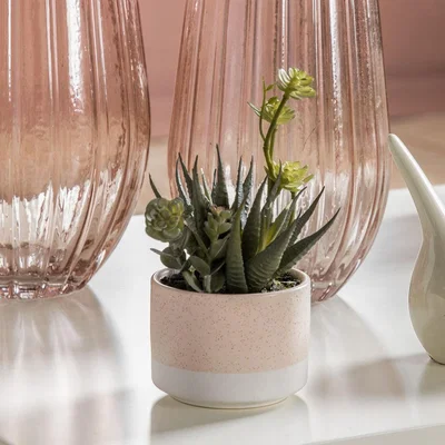 Olivia's Gallery Interiors Zora Potted Agave Mix Faux Plant Green