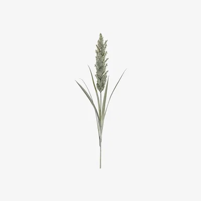 Olivia's Gallery Direct Pampas Spray Ivory
