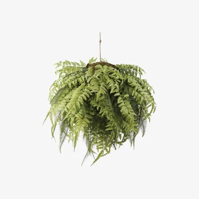 Olivia's Libra Faux Fern Hanging Ball 98cm | Outlet