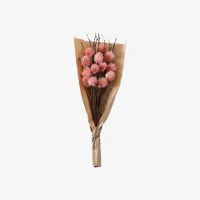 Olivia's Gallery Interiors Clark Dried Thistle Bundle in Paper Wrap Blush / Large