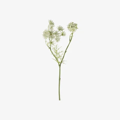 Olivia's Gallery Interiors Set of 12 Page Queen Annes Lace Spray White | Outlet