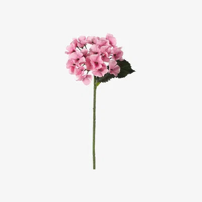 Olivia's Gallery Interiors Spiros Hydrangea Stem Pink / Small Set of 12