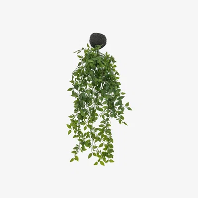 Olivia's Gallery Interiors Tedore Trailing Vine In Soil Faux Plant Green