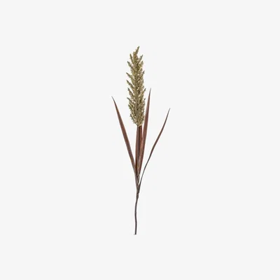 Olivia's Gallery Direct Pampas Spray Wheat Russet