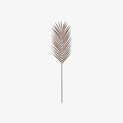 Olivia's Gallery Direct Brown Palm Stem (6pk)