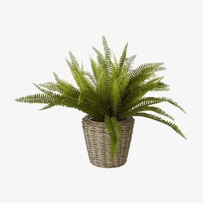 Olivia's Olivia's Freda Planter Succulent Boston Fern Rattan
