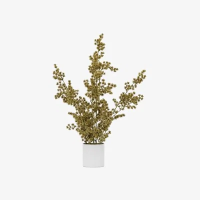 Olivia's Gallery Interiors Potted Cedar Pine in Gold