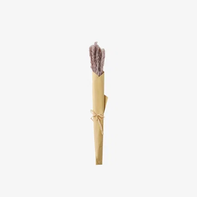 Olivia's Gallery Interiors Clark Dried Reed Grass Bundle in Paper Wrap Lilac