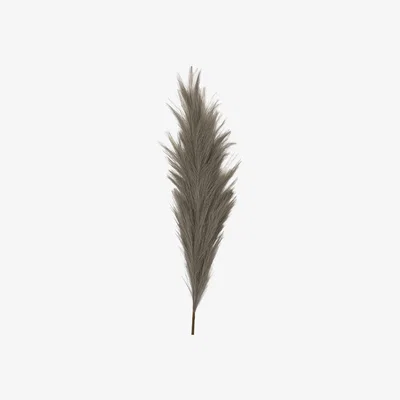 Olivia's Gallery Interiors Set of 3 Feathered Stem Grey