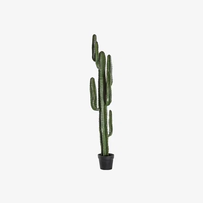 Olivia's Gallery Direct Desert Black Cactus / Large