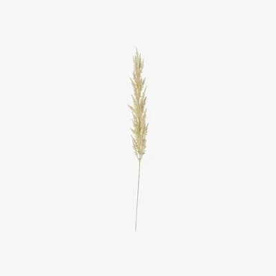 Olivia's Gallery Interiors White Pampas Grass (3pk)