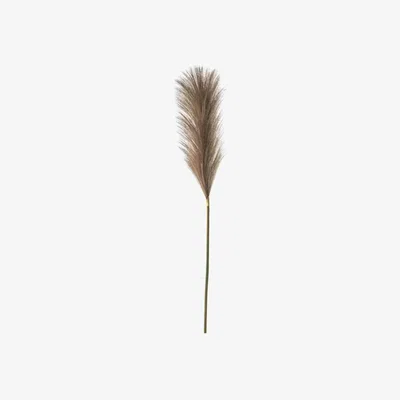 Olivia's Gallery Interiors Goma Brown Soft Feather Stem (5pk)