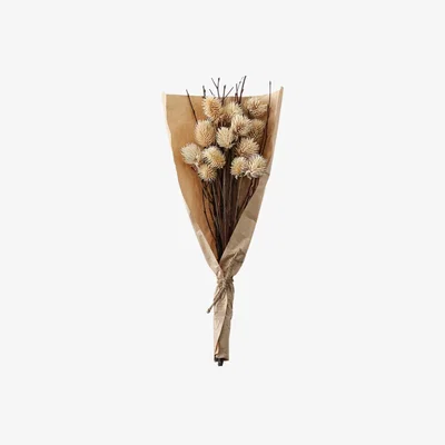 Olivia's Gallery Interiors Clark Dried Thistle Bundle in Paper Wrap Natural / Small