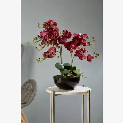 Olivia's Olivia's Faux Orchid Purple