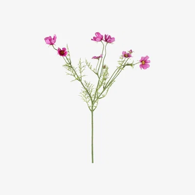 Olivia's Gallery Interiors Set of 6 Pollux Cosmos Spray Pink
