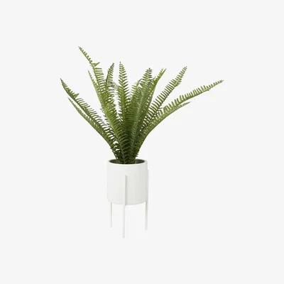 Olivia's Olivia's Freda Planter With Cement And Iron Pot
