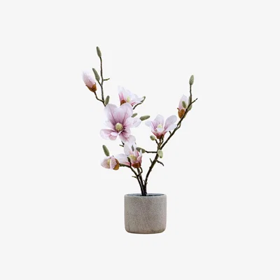 Olivia's Gallery Interiors Raskop Potted Magnolia Light Pink