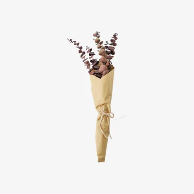 Olivia's Gallery Interiors Clark Dried Eucalyptus Bundle Paper Wrap Dark Purple