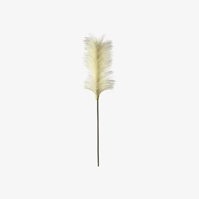 Olivia's Gallery Interiors Goma Ivory Soft Feather Stem (5pk)