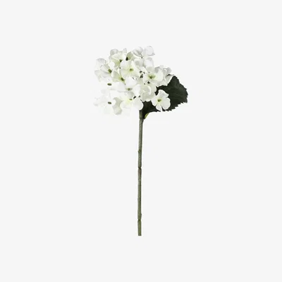 Olivia's Gallery Interiors Spiros Hydrangea Stem White / Small Set of 12
