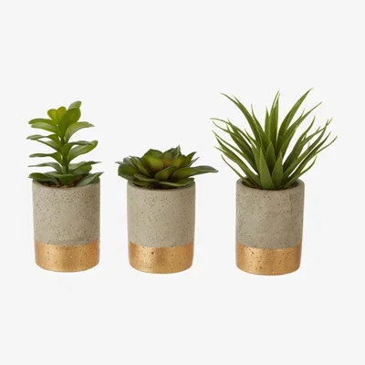Olivia's Olivia's Freda Planter Succulent Pot Grey / Grey