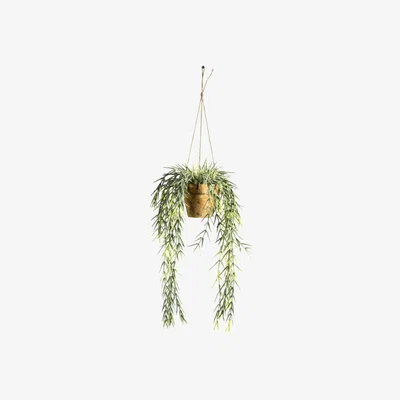 Olivia's Gallery Direct Hanging Willow With Earthenware Style Pot