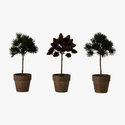 Olivia's Gallery Interiors Set of 3 Potted Pinecone Trees