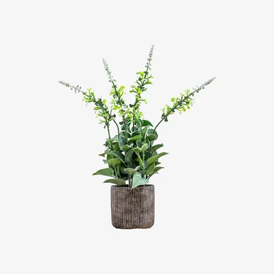 Olivia's Gallery Interiors Garner Potted Lavender White