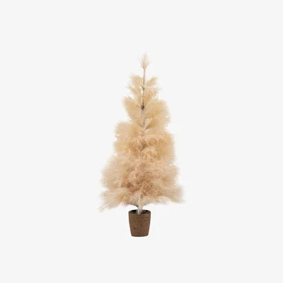 Olivia's Gallery Interiors Pampas Tree with LED Lights in Cream