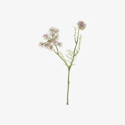 Olivia's Gallery Interiors Set of 12 Page Queen Annes Lace Spray Pink