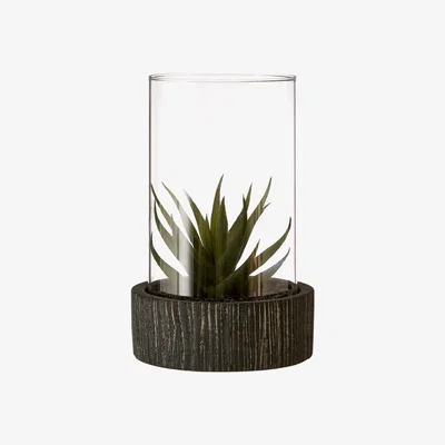 Olivia's Olivia's Large Succulent With Black Stone Base