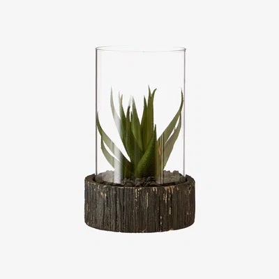 Olivia's Olivia's Small Succulent With Black Stone Base