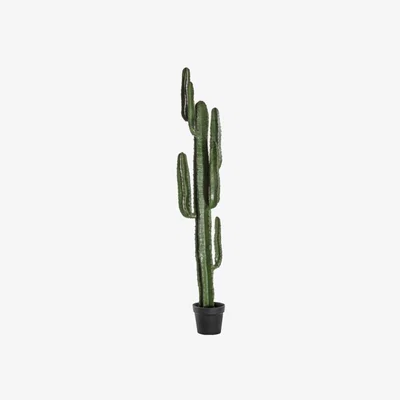 Olivia's Gallery Direct Desert Black Cactus | Outlet / Large