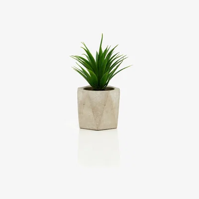 Olivia's Olivia's Freda Planter Succulent Set Of 3 In Geo Cement Pots