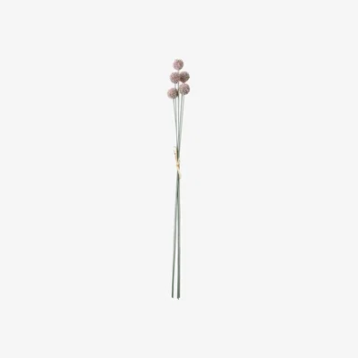 Olivia's Gallery Interiors Set of 12 Sivan Echinops Bundle Lilac