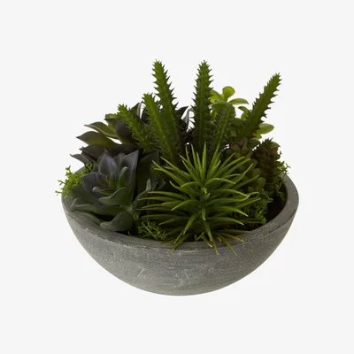Olivia's Olivia's Freda Planter Succulent Paper Stone Effect Pot Mixed