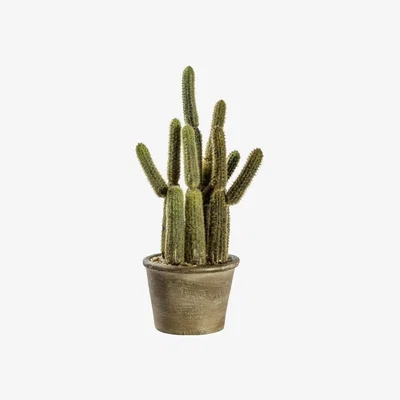 Olivia's Gallery Direct Carnegiea Grey Cactus / Small