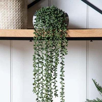 Olivia's Gallery Interiors Jenson String of Pearls Faux Plant Green